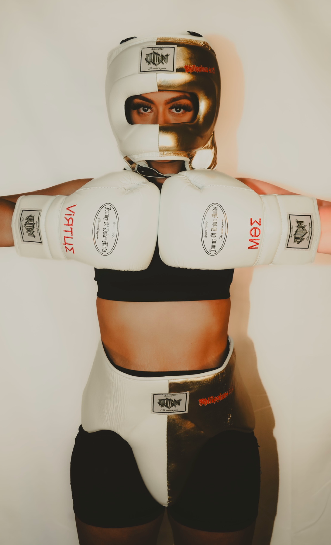 JDM Full sparring set